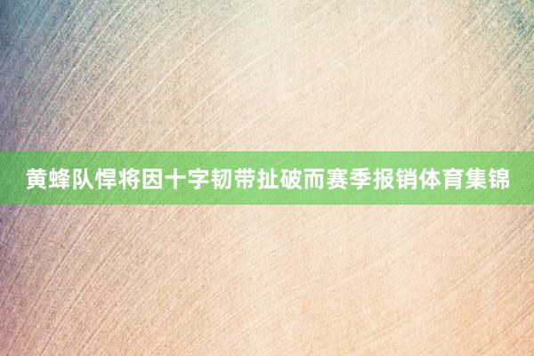 黄蜂队悍将因十字韧带扯破而赛季报销体育集锦