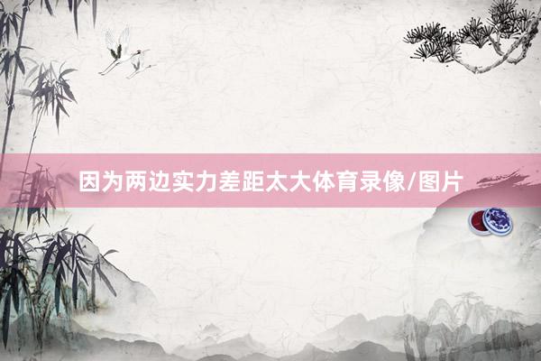 因为两边实力差距太大体育录像/图片