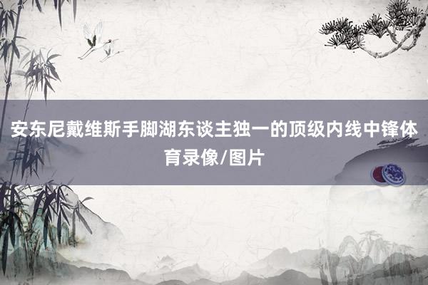 安东尼戴维斯手脚湖东谈主独一的顶级内线中锋体育录像/图片
