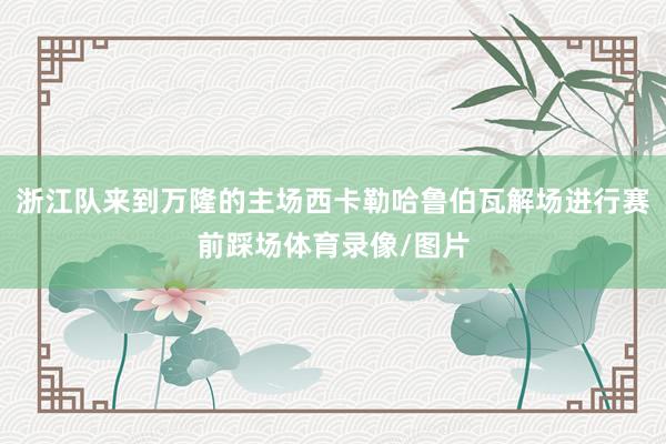 浙江队来到万隆的主场西卡勒哈鲁伯瓦解场进行赛前踩场体育录像/图片