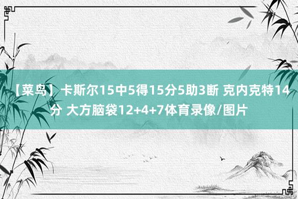 【菜鸟】卡斯尔15中5得15分5助3断 克内克特14分 大方脑袋12+4+7体育录像/图片