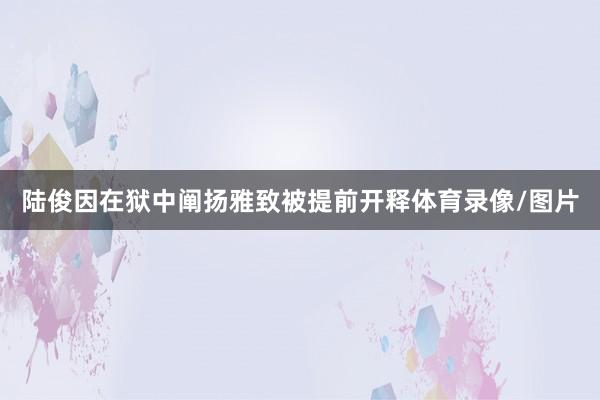 陆俊因在狱中阐扬雅致被提前开释体育录像/图片