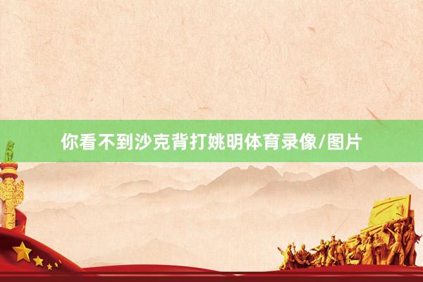 你看不到沙克背打姚明体育录像/图片