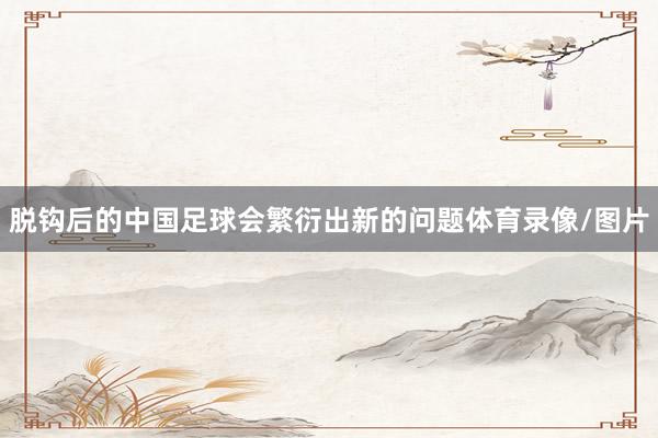脱钩后的中国足球会繁衍出新的问题体育录像/图片