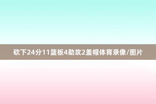 砍下24分11篮板4助攻2盖帽体育录像/图片