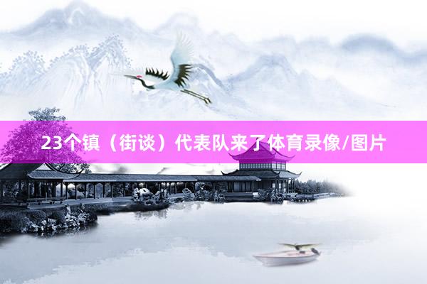 23个镇（街谈）代表队来了体育录像/图片