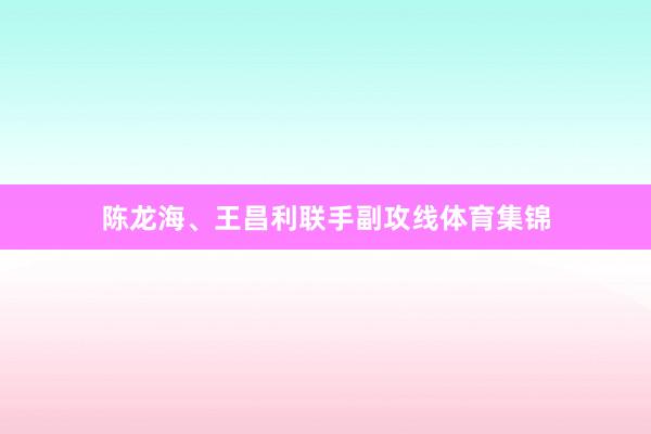 陈龙海、王昌利联手副攻线体育集锦