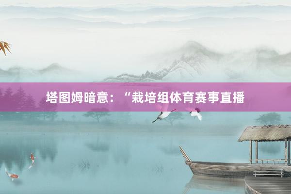 塔图姆暗意：“栽培组体育赛事直播