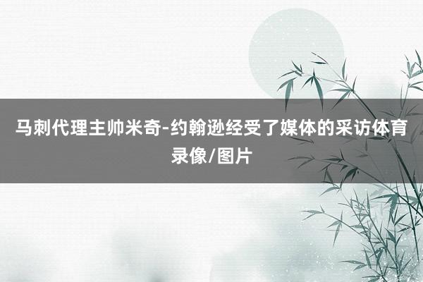 马刺代理主帅米奇-约翰逊经受了媒体的采访体育录像/图片