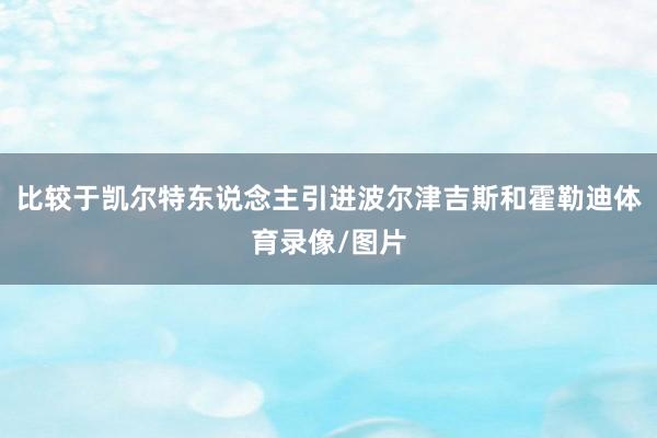 比较于凯尔特东说念主引进波尔津吉斯和霍勒迪体育录像/图片