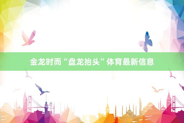 金龙时而“盘龙抬头”体育最新信息