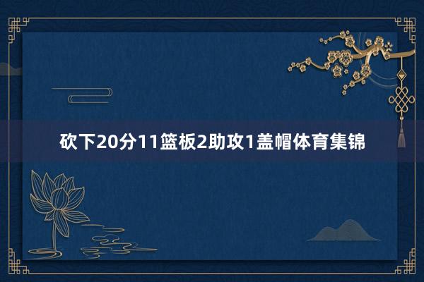 砍下20分11篮板2助攻1盖帽体育集锦