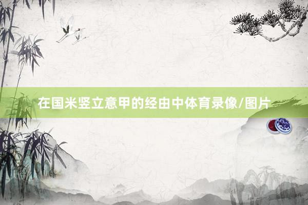 在国米竖立意甲的经由中体育录像/图片