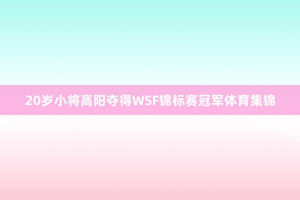 20岁小将高阳夺得WSF锦标赛冠军体育集锦