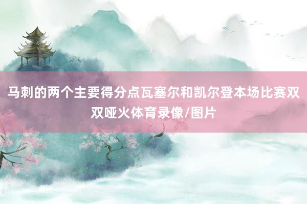 马刺的两个主要得分点瓦塞尔和凯尔登本场比赛双双哑火体育录像/图片