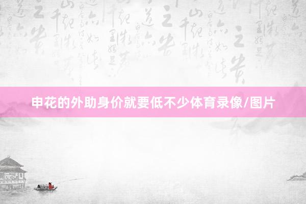 申花的外助身价就要低不少体育录像/图片