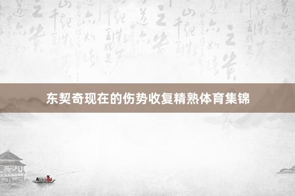 东契奇现在的伤势收复精熟体育集锦