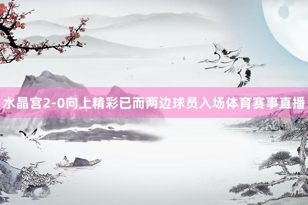 水晶宫2-0向上精彩已而两边球员入场体育赛事直播