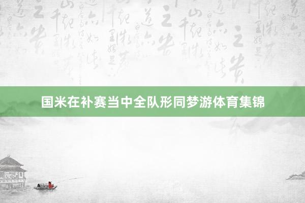 国米在补赛当中全队形同梦游体育集锦