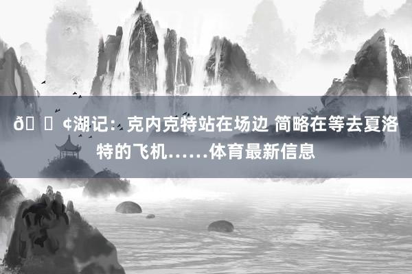 😢湖记：克内克特站在场边 简略在等去夏洛特的飞机……体育最新信息