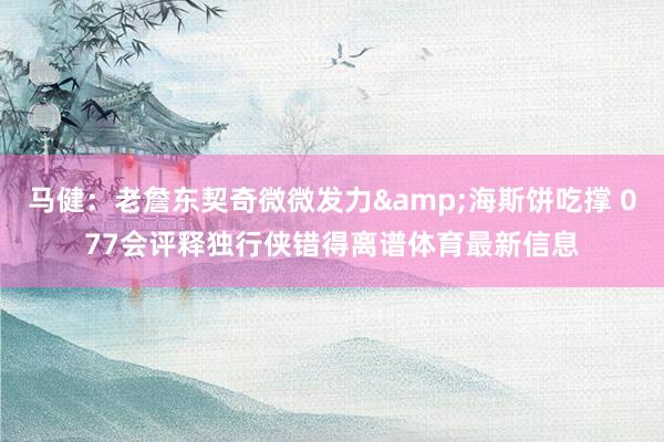 马健：老詹东契奇微微发力&海斯饼吃撑 077会评释独行侠错得离谱体育最新信息