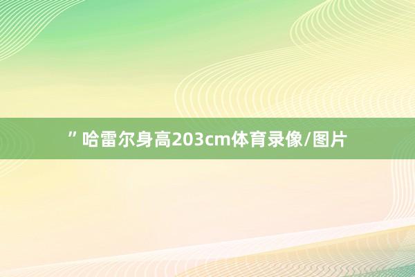 ”哈雷尔身高203cm体育录像/图片