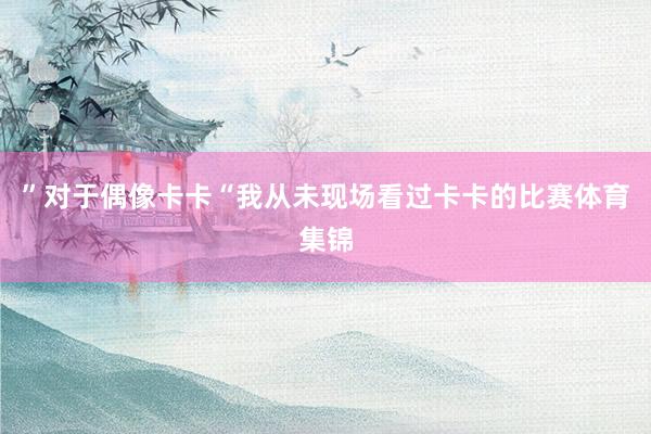 ”对于偶像卡卡“我从未现场看过卡卡的比赛体育集锦