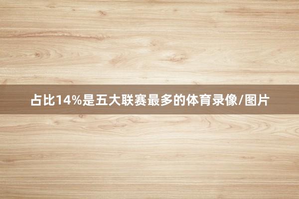 占比14%是五大联赛最多的体育录像/图片