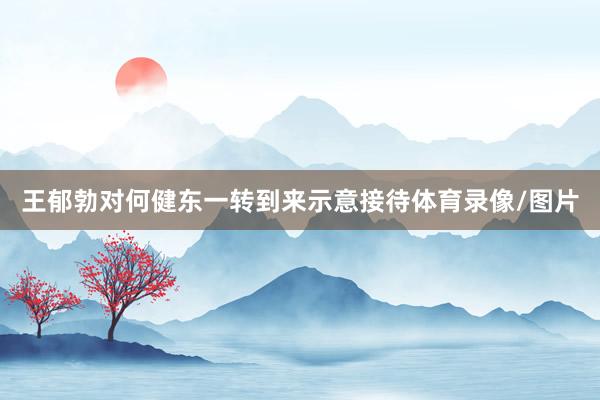 王郁勃对何健东一转到来示意接待体育录像/图片