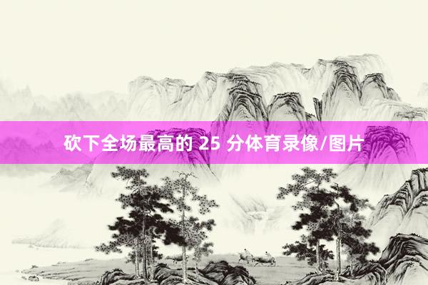 砍下全场最高的 25 分体育录像/图片
