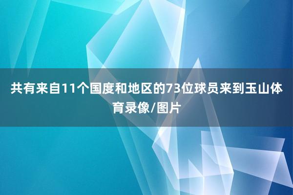 共有来自11个国度和地区的73位球员来到玉山体育录像/图片