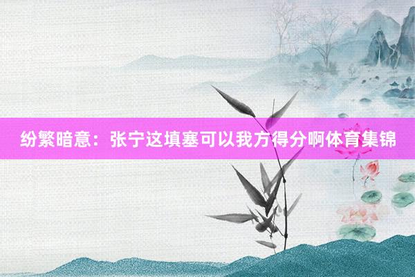 纷繁暗意：张宁这填塞可以我方得分啊体育集锦
