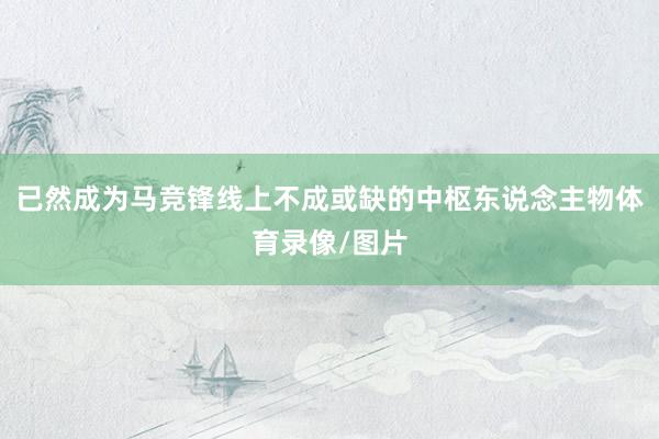 已然成为马竞锋线上不成或缺的中枢东说念主物体育录像/图片