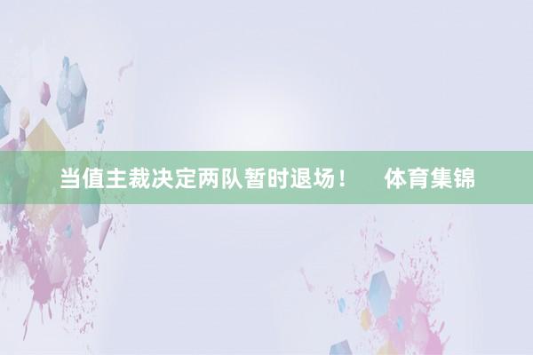 当值主裁决定两队暂时退场！    体育集锦