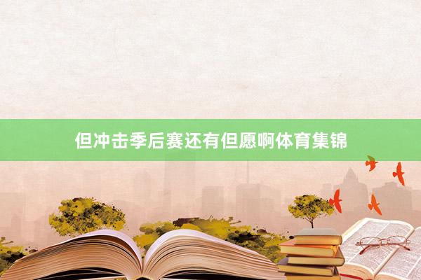 但冲击季后赛还有但愿啊体育集锦