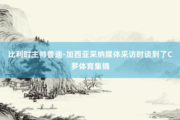 比利时主帅鲁迪-加西亚采纳媒体采访时谈到了C罗体育集锦