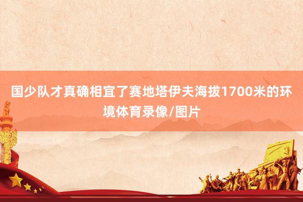 国少队才真确相宜了赛地塔伊夫海拔1700米的环境体育录像/图片