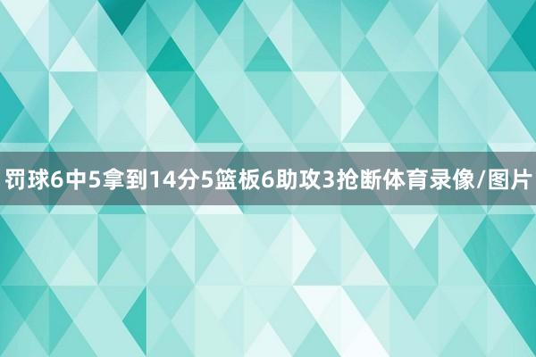 罚球6中5拿到14分5篮板6助攻3抢断体育录像/图片