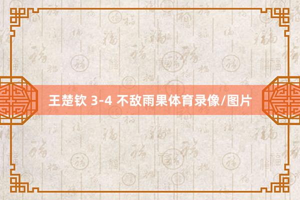 王楚钦 3-4 不敌雨果体育录像/图片