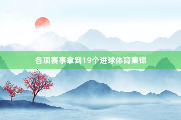 各项赛事拿到19个进球体育集锦