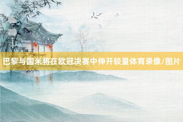 巴黎与国米将在欧冠决赛中伸开较量体育录像/图片