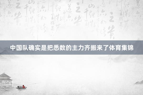 中国队确实是把悉数的主力齐搬来了体育集锦