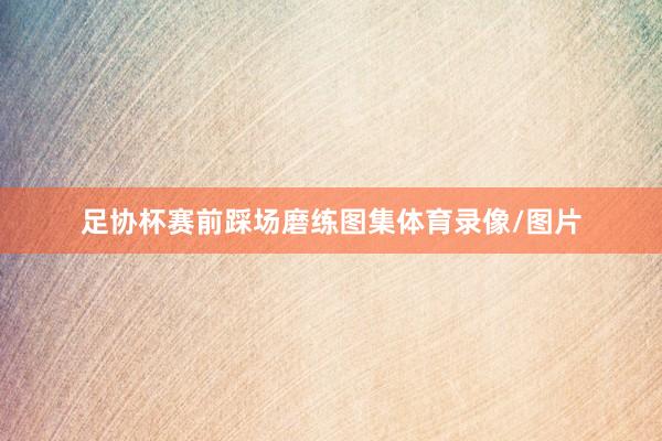 足协杯赛前踩场磨练图集体育录像/图片