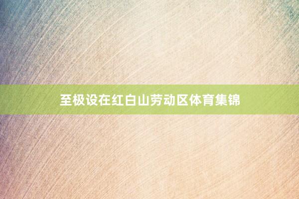 至极设在红白山劳动区体育集锦