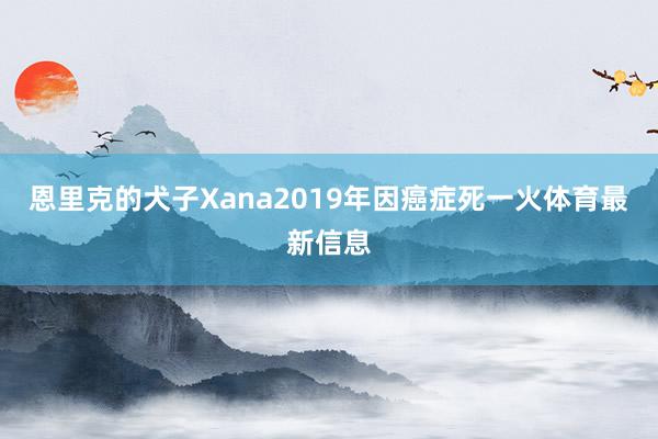 恩里克的犬子Xana2019年因癌症死一火体育最新信息