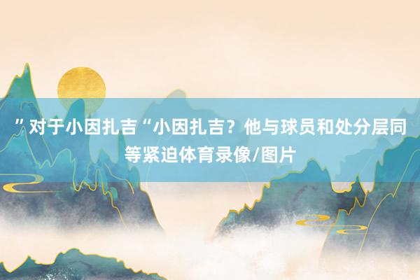 ”对于小因扎吉“小因扎吉？他与球员和处分层同等紧迫体育录像/图片