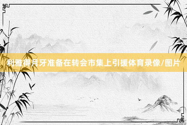 利雅得月牙准备在转会市集上引援体育录像/图片