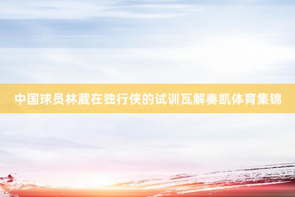 中国球员林葳在独行侠的试训瓦解奏凯体育集锦