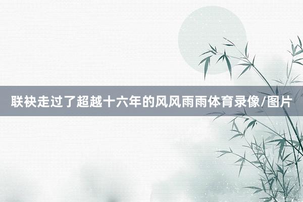 联袂走过了超越十六年的风风雨雨体育录像/图片