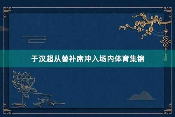 于汉超从替补席冲入场内体育集锦